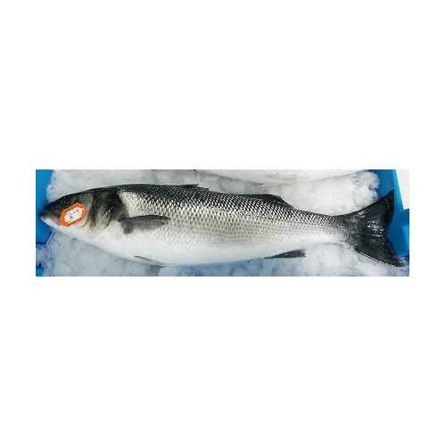 Bar de ligne - 850 g