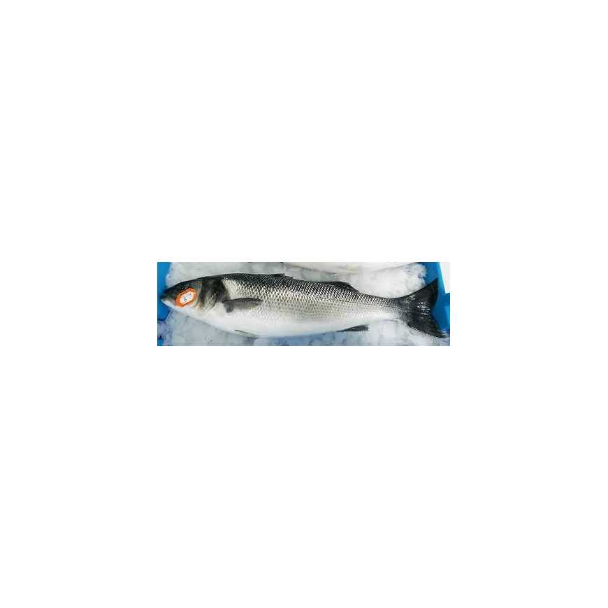 Bar de ligne - 850 g
