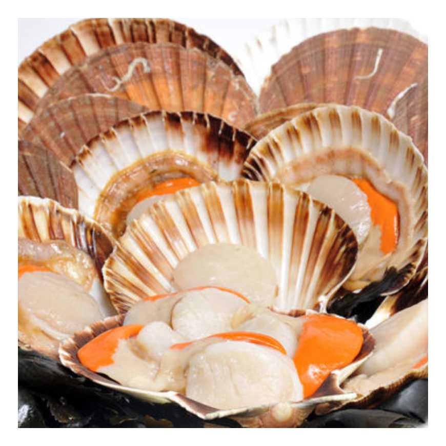 Vente Noix de Saint Jacques avec corail 500 g Achat en ligne et