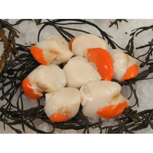 Vente Noix de Saint Jacques avec corail - 500 g - Achat en ligne et livraison à domicile