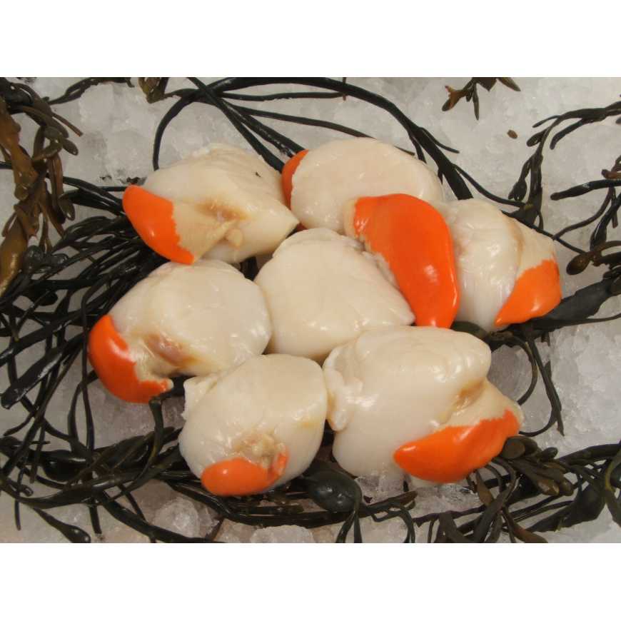 Vente Noix de Saint Jacques avec corail 500 g Achat en ligne et