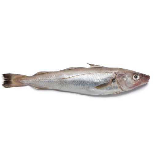 Merlan vide 200/300g - 0.95 / 1.05 kg