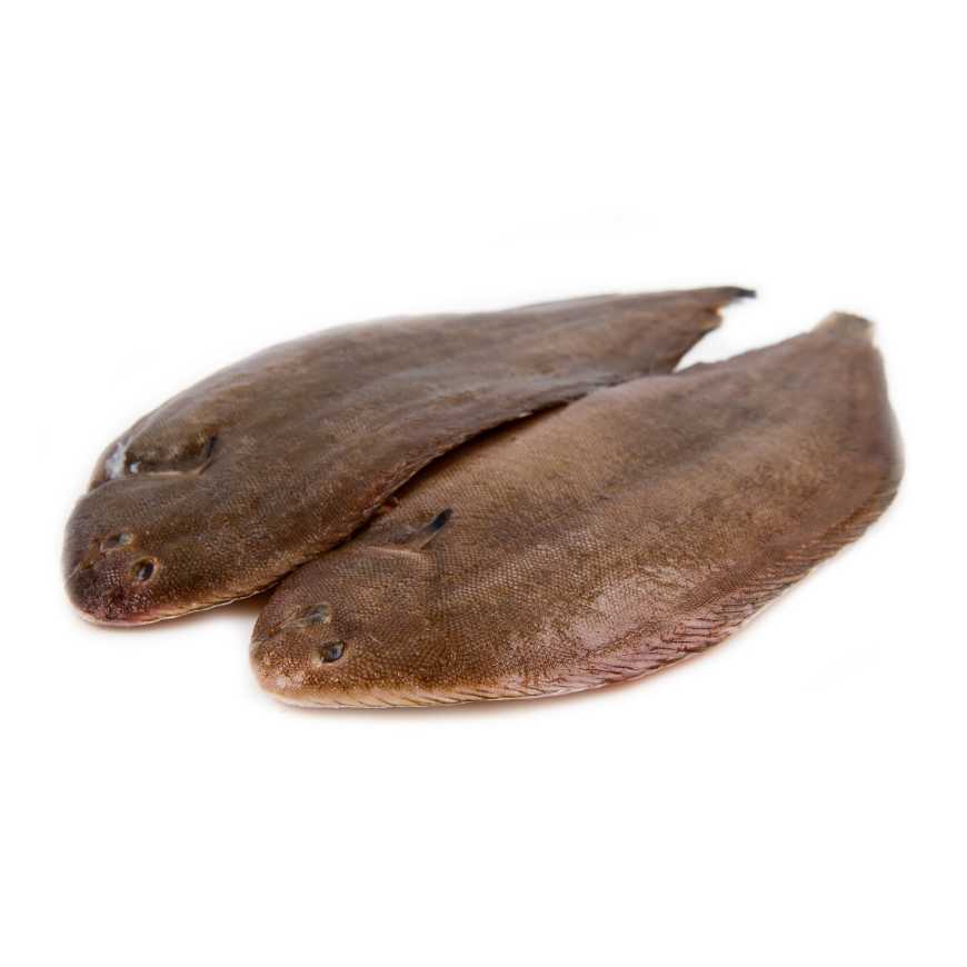 Sole 300/400 g - 0.95 / 1.05 kg