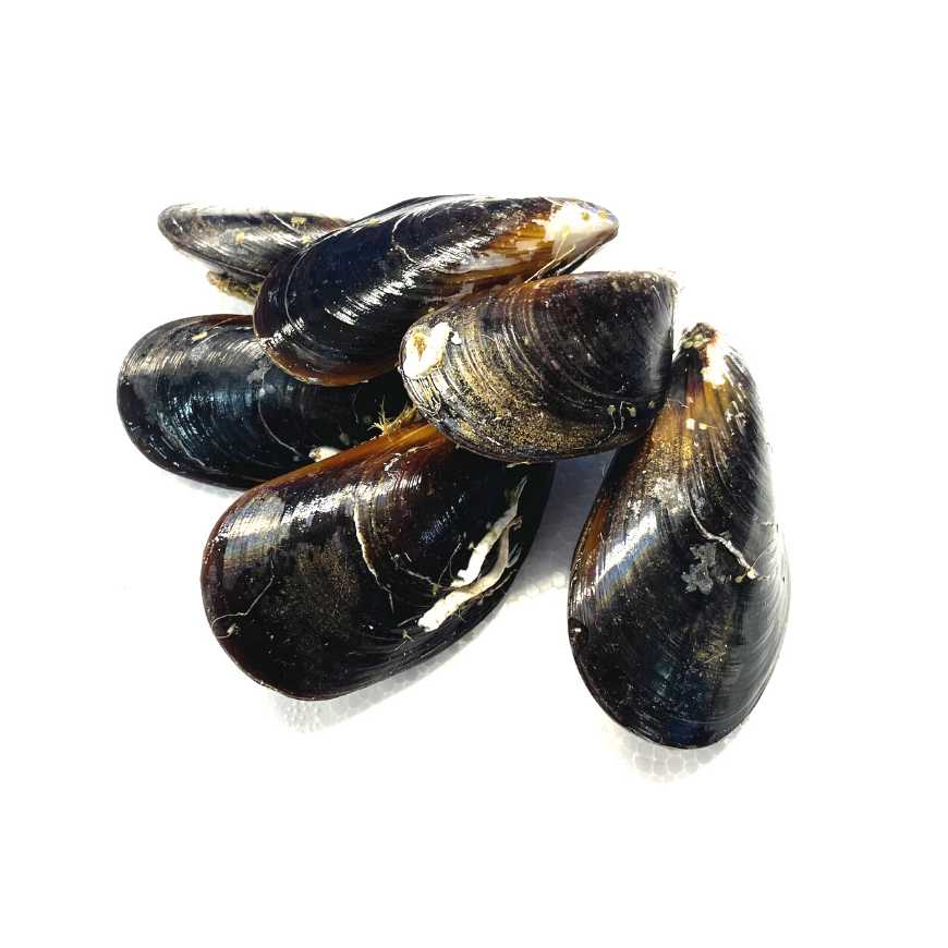 Moules d'Espagne - 500 g