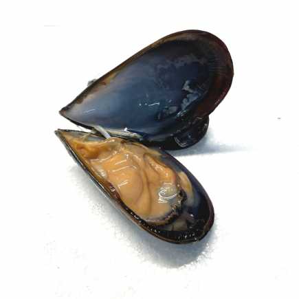 Moules d'Espagne vivantes - 500 g