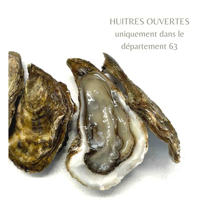Huîtres Marennes OUVERTES - 1 DZ