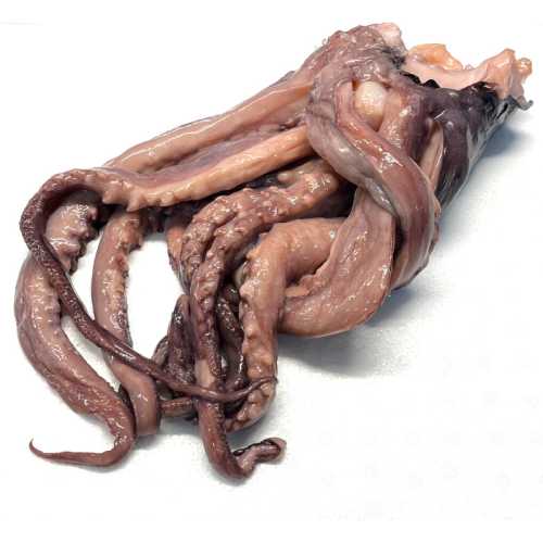 tentacule d'encornet - 1 kg