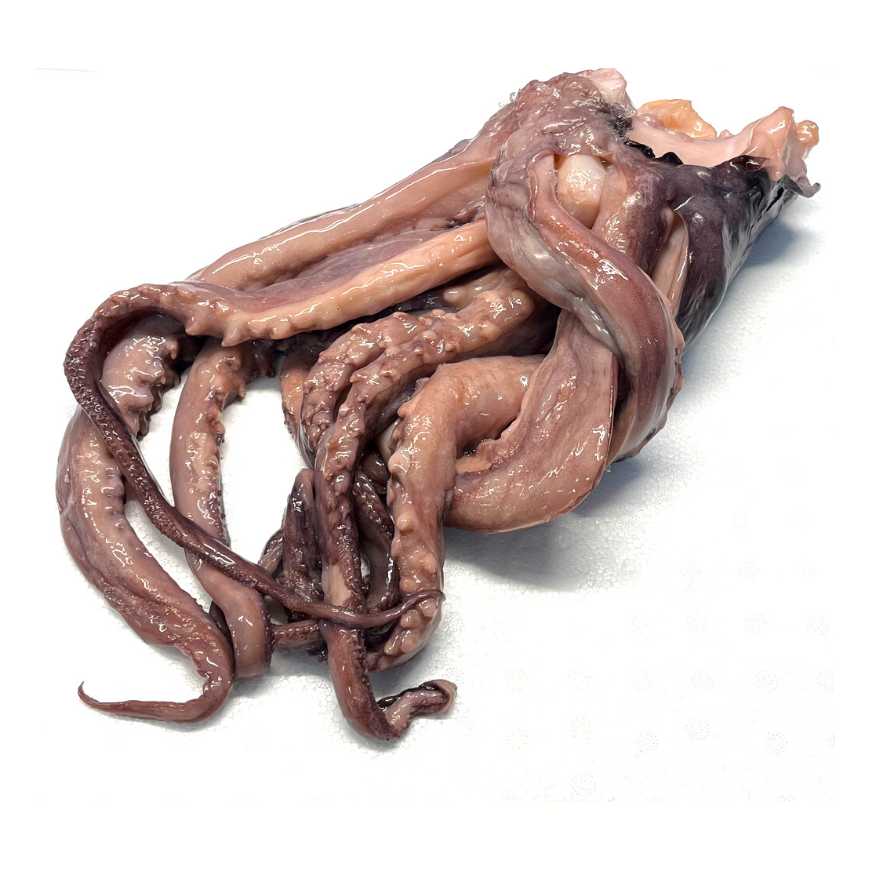 tentacule d'encornet - 1 kg