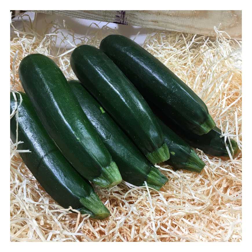 Courgette - 1Kg