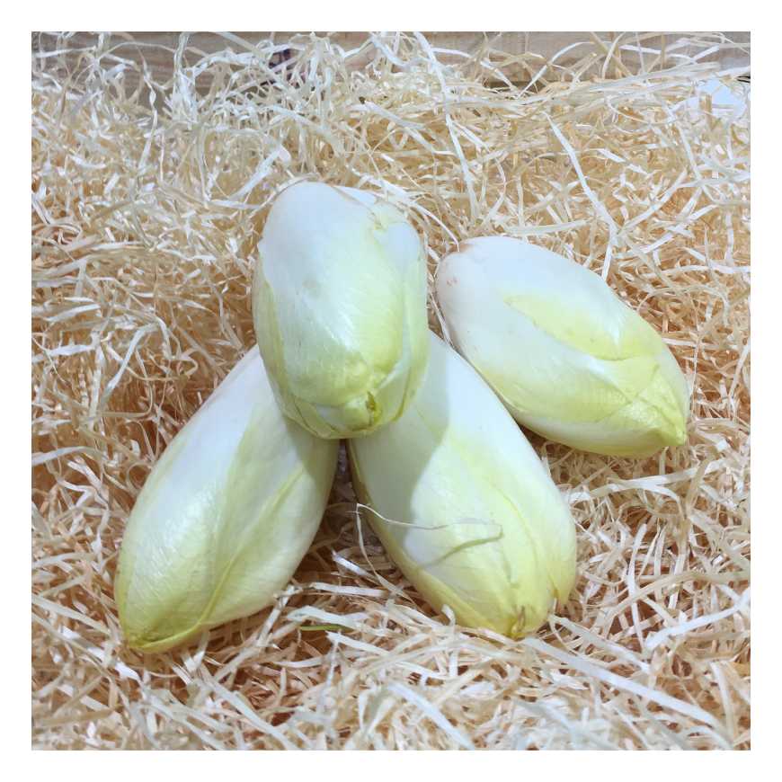 Endive - 1KG