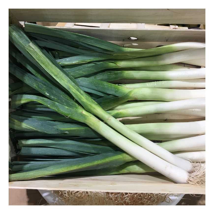 Poireau Blanc sous vide - Brqt 500gr