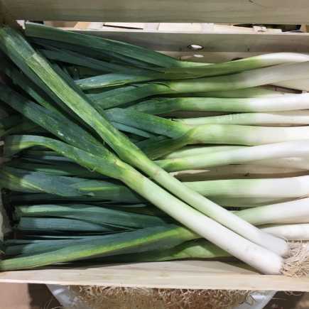 Poireau Blanc sous vide - Brqt 500gr