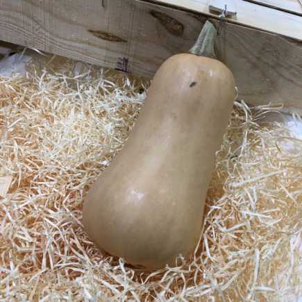 Butternut 1.5kg/2kg - 1 Pièce