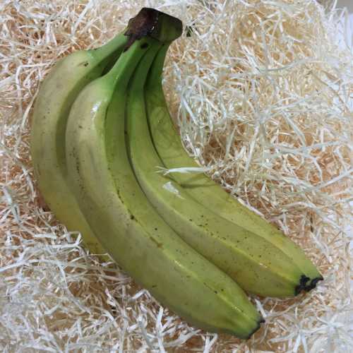 Banane - 1 kg