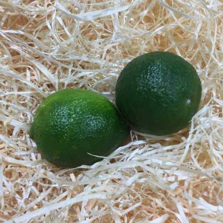 Citron vert/Lime - La pièce