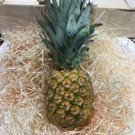 Ananas - 1 pièce