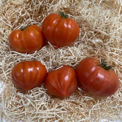 Tomate type coeur de bœuf - 500 g