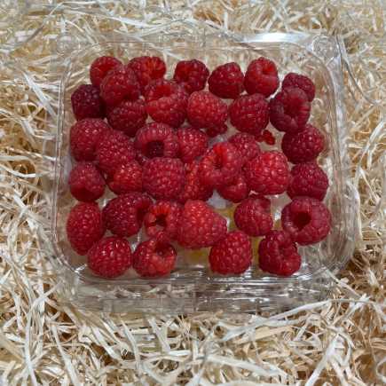 Framboise - La barquette 125g