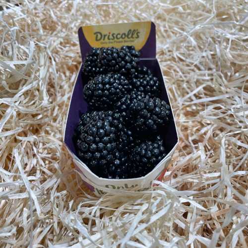 Mures - La barquette 125g