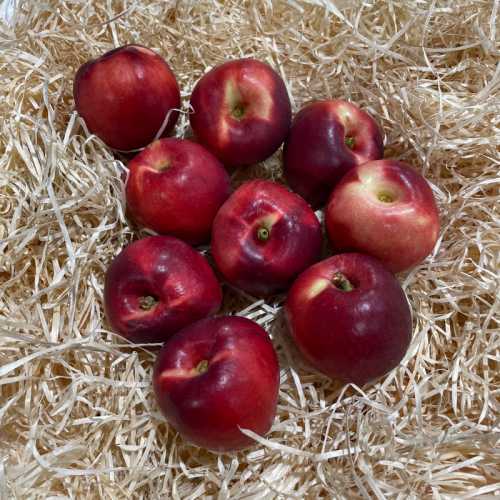 Nectarine blanche - 500gr