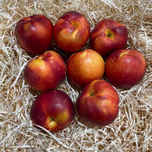 Nectarine jaune - 500gr