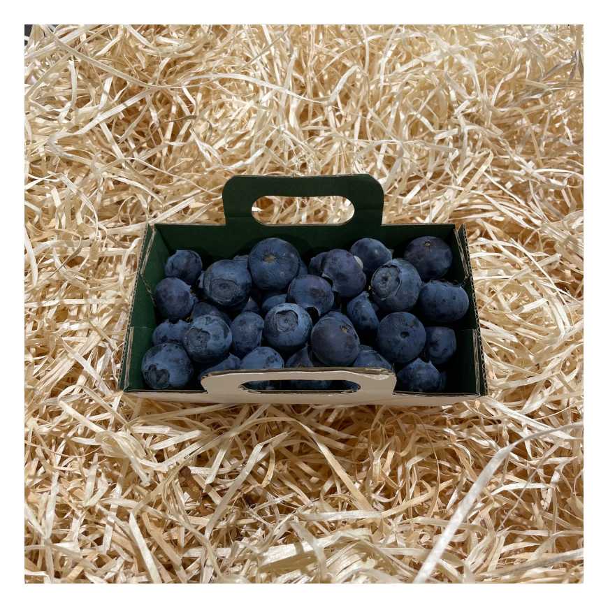 Myrtille - La barquette 125 g