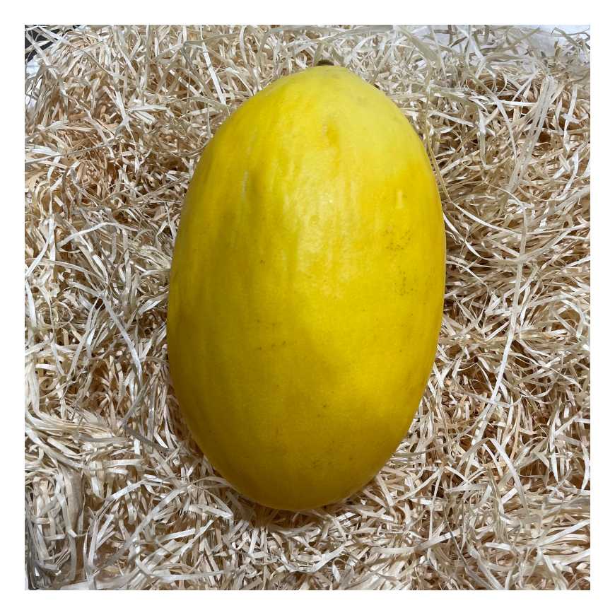 Melon jaune 1 pièce