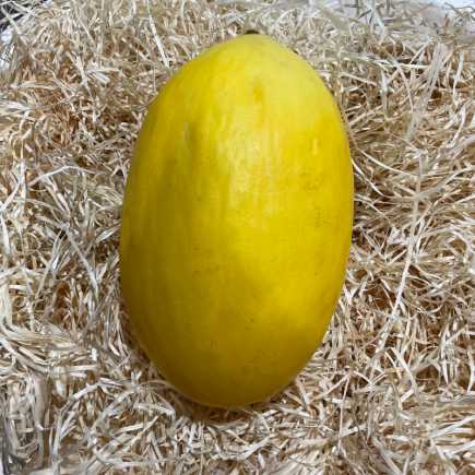 Melon jaune - 1 pièce