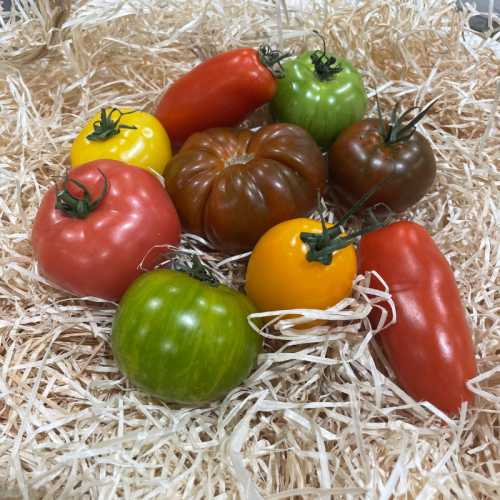 Tomates mélange - 500 g