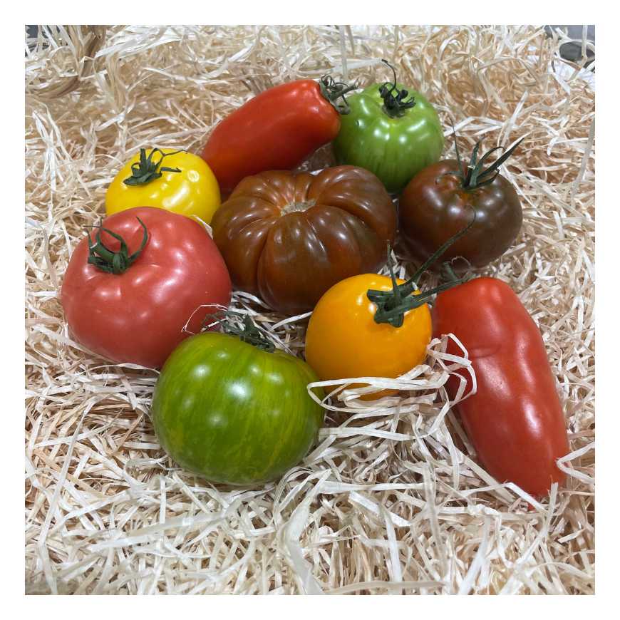 Tomates mélange - 1 kg