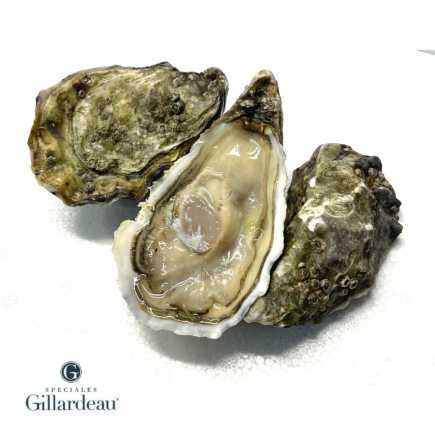 Huîtres Gillardeau
