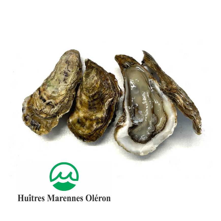 Huîtres Marennes Oléron - Fine de claire