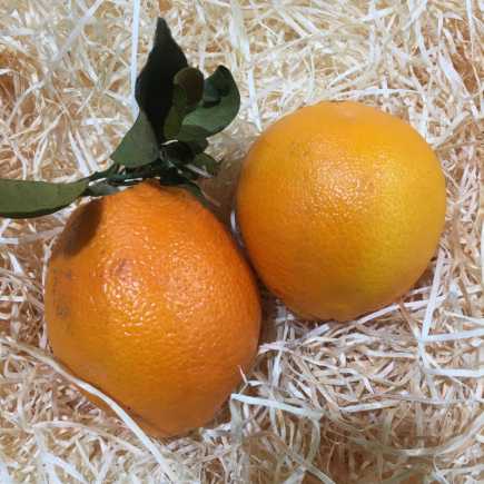 Orange à jus - 500 g