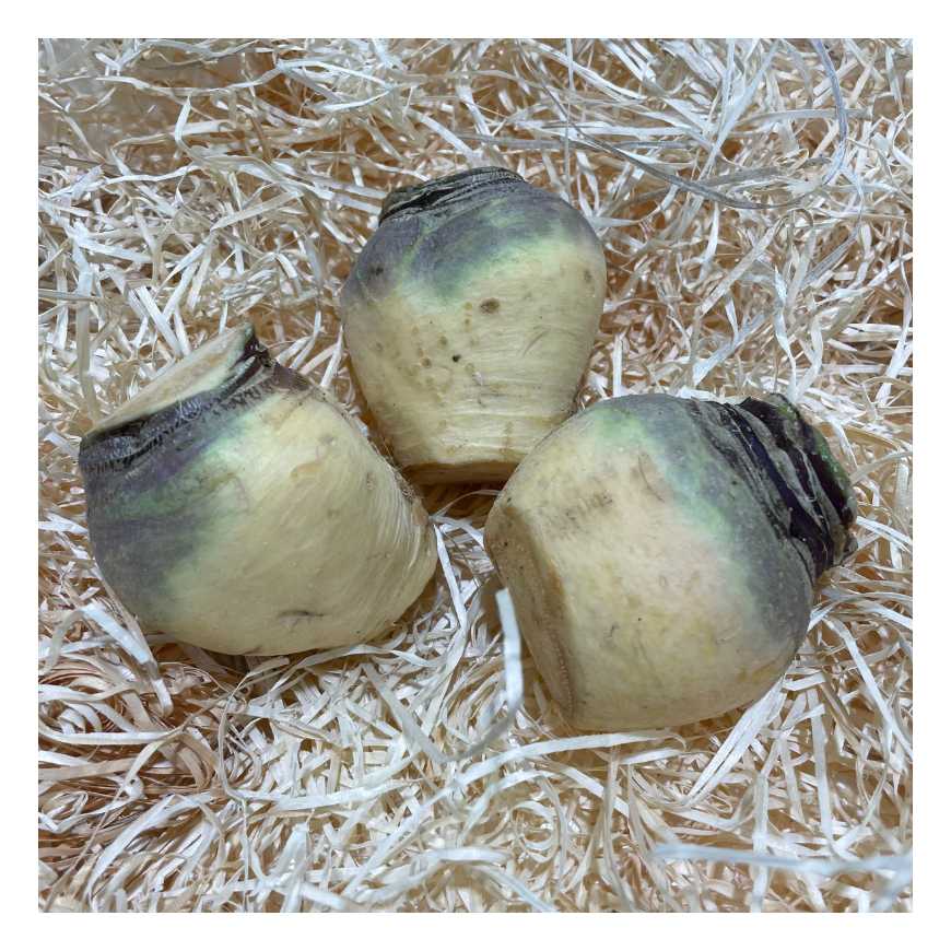 Navet Rutabaga - 500g