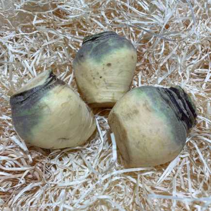 Navet Rutabaga - 500g