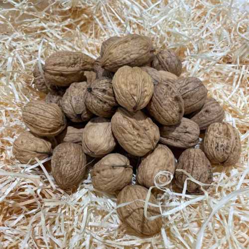 Noix 200 g : livraison rapide