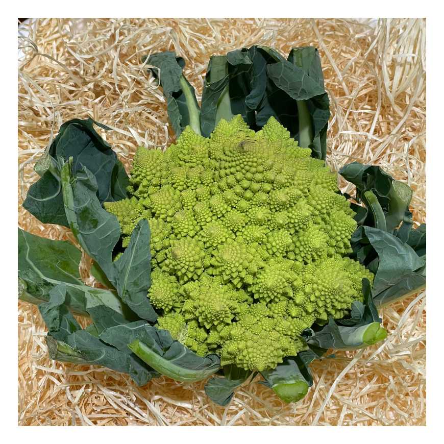 Chou Romanesco - La pièce