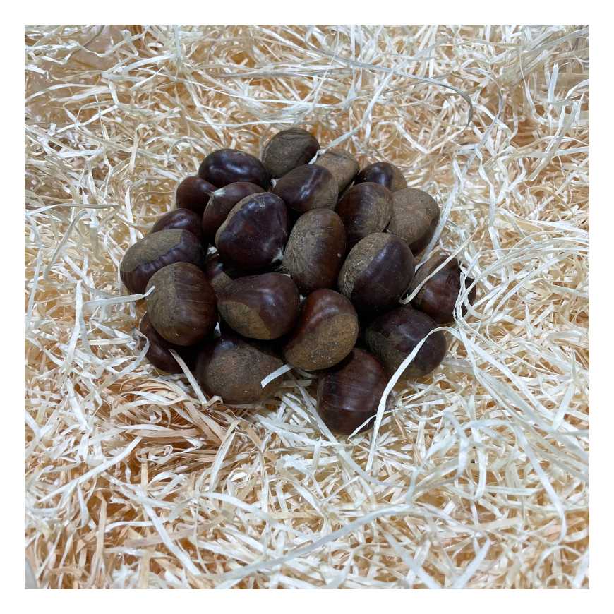 Marron - 500g