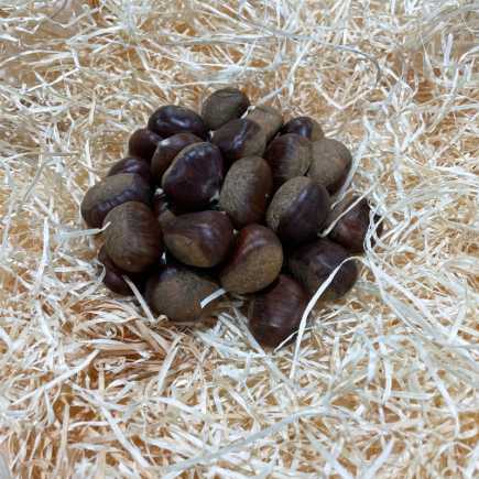 Marron - 500g