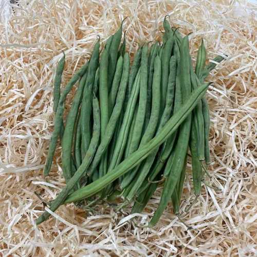 Haricot vert - 500 g