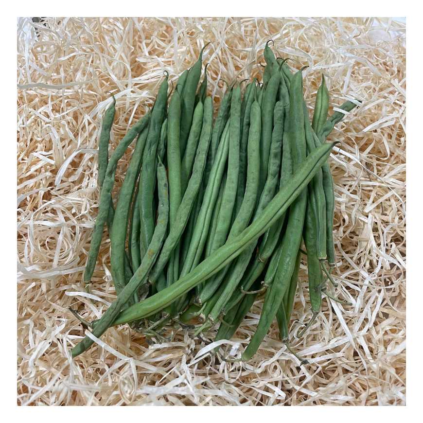 Haricot vert - 500 g