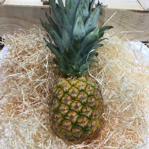 Ananas A10 - 1 pièce