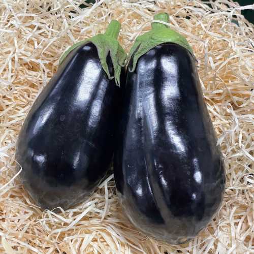 Aubergine - 500 g