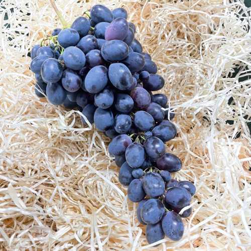 Raisin Noir Sans Pépin - 500 g