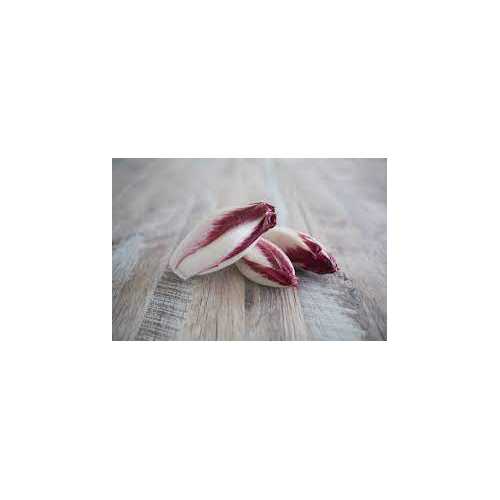 Endive Rouge - 500g