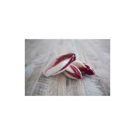 Endive Rouge - 500g