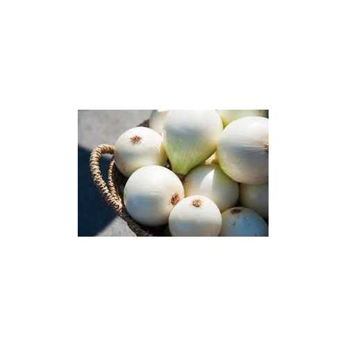 Oignon blanc - 500 g