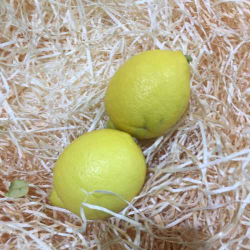 Citron jaune de Nice - La...