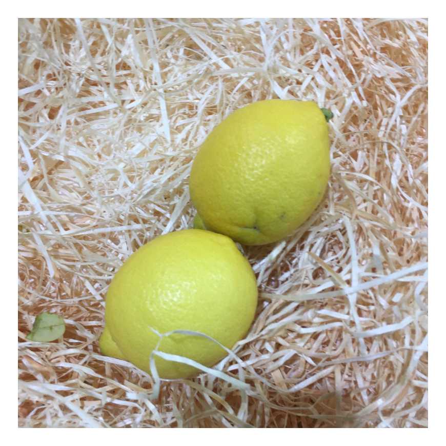Citron jaune de Nice - La pièce