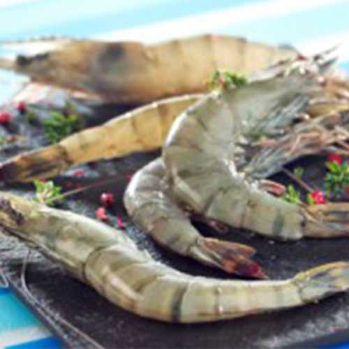 Vente Crevettes crues 13/15 - 800 g - Achat en ligne et livraison à domicile